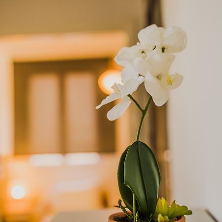 Green Apartment Ground Floor Feel Like Home Properties Saronida Eksteriør billede