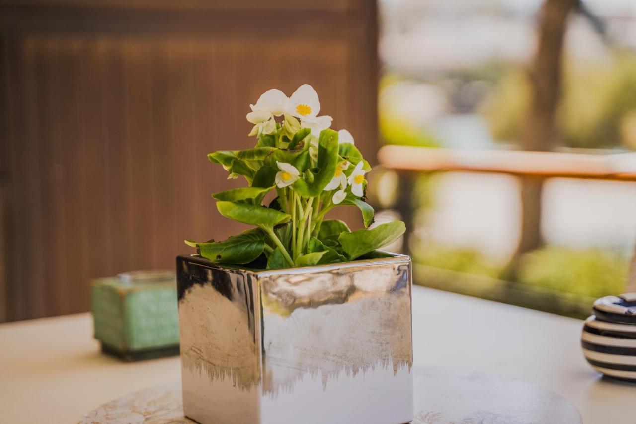 Green Apartment Ground Floor Feel Like Home Properties Saronida Eksteriør billede