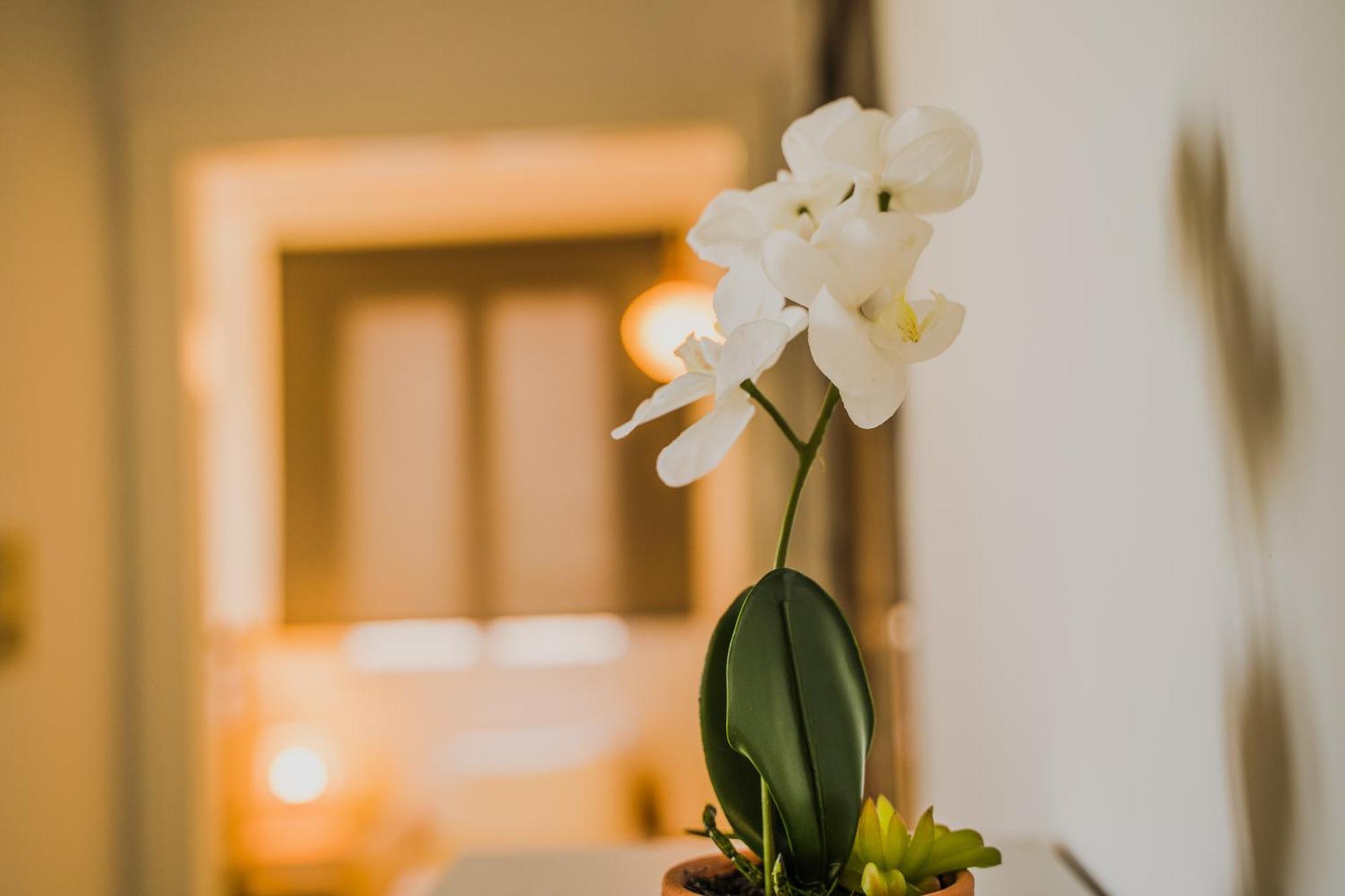 Green Apartment Ground Floor Feel Like Home Properties Saronida Eksteriør billede